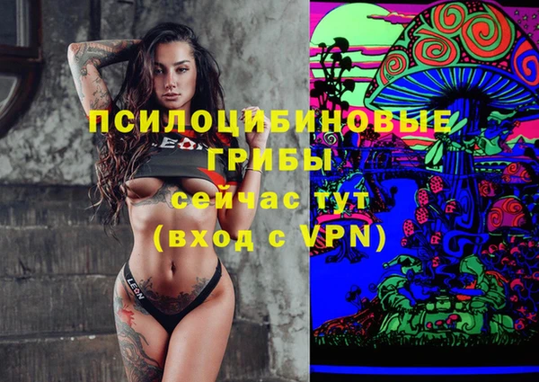 молекула духа Магас